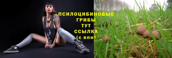 гидропоника Михайловск